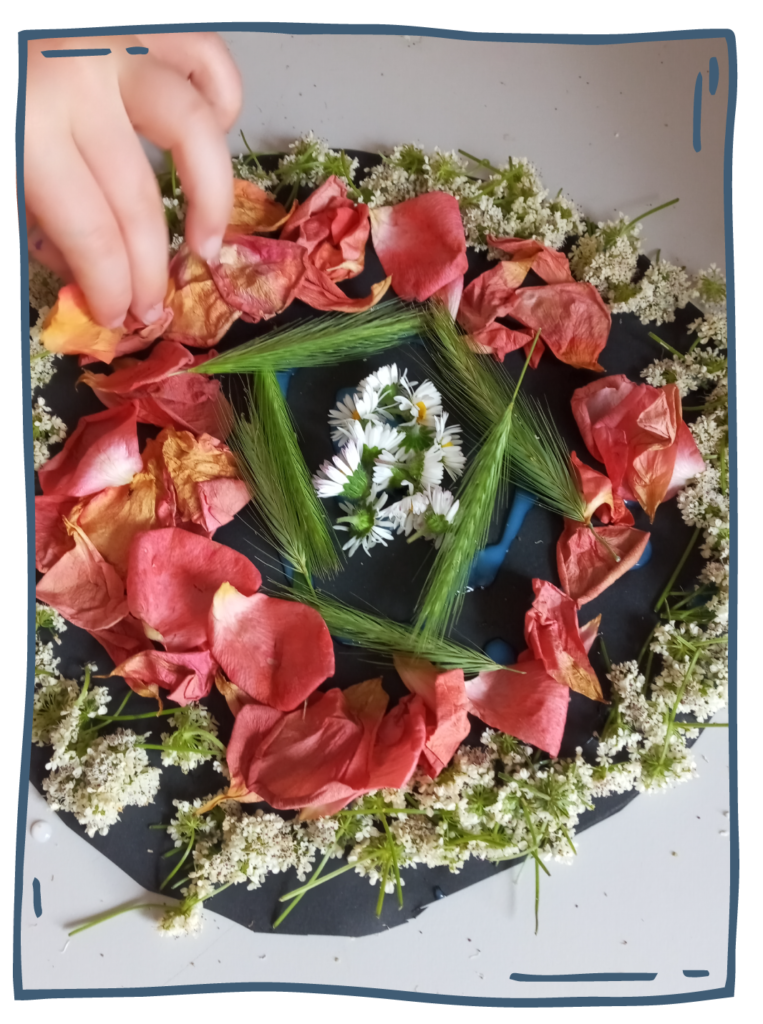 Land art d'intérieur & mandala végétal